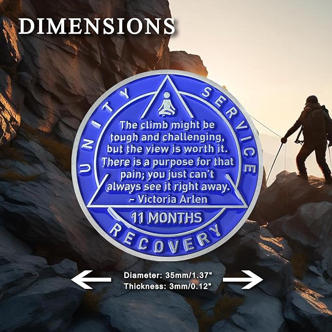 11 Month Sobriety Coin Sobriety Chips AA Chip AA Coins Sober Token Recovery Medallion NA Chips NA Coins from 1 to 12 Months Plastic case Included-Baking Paint Process