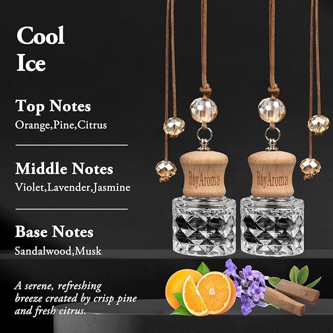 Hanging Car Air Fresheners, 2 Pack Long Lasting Automotive air fresheners up to 30-45 Days, Non Toxic Natural Fragrance Car Diffuser Freshener for Cars, Home,Office- Cool Ice