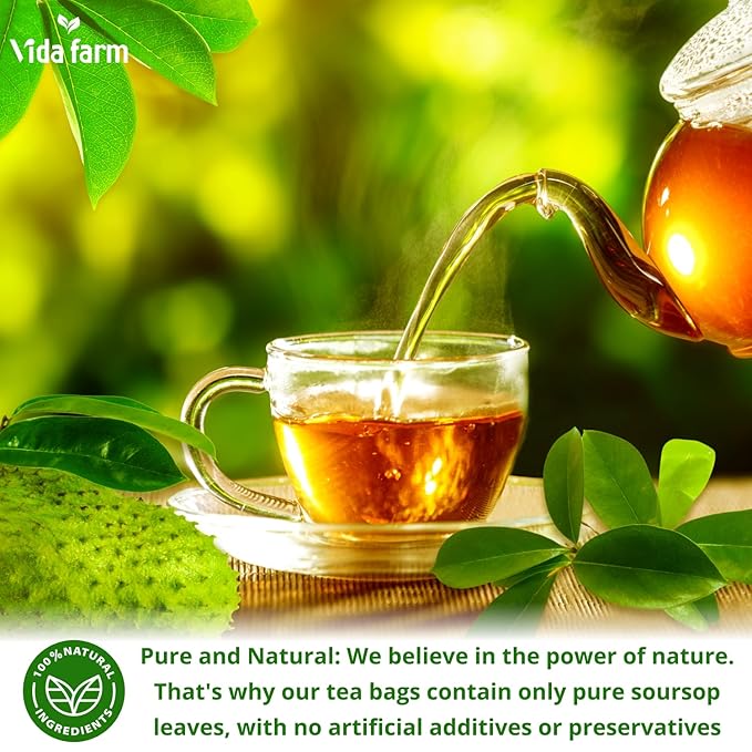 VIDA FARM 100 Soursop Leaves Tea Bags, 100% Natural Soursop Graviola Leaf Tea Bags, Dried Guanabana Leaves Herbal Tea Bags, Herbal Leaf Tea, No Sugar, No Caffeine, Vegan