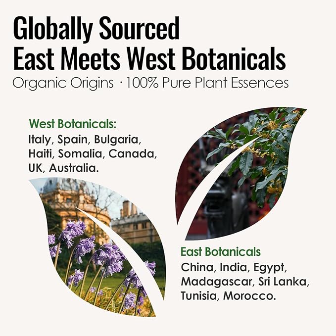 MATRUM Five Element Essential Oil Roll-On Set – 100% Pure Aromatherapy Blend for Stress Relief, Anxiety Ease, Relaxation & Sleep Support, Circulation & Balance, Self-Care Gift, 2.5 Fl Oz