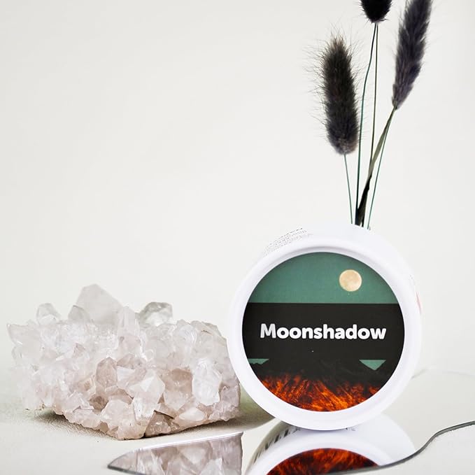 Happy Wax Moonshadow Scented Bear Wax Melts - Natural Strong Scented Woodsy Wax Melts Infused w/Essential Oils - Non Toxic Wax Melt & Pet Safe Wax Melts - (4 oz Tin)