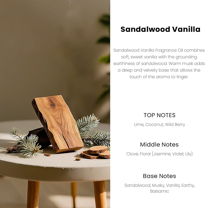 Car Air Freshener Hanging Diffuser – Long-Lasting Essential Oil Scent (Up to 60 Days) – Non-Toxic & Eco-Friendly – 2-Pack Auto Fresheners Made in USA