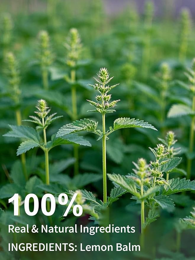 TeeLux Lemon Balm Tea Bags, Pure & Natural Lemon Balm Herbal Tea, Lemony & Citrusy Flavor, Caffeine Free, 100 Count