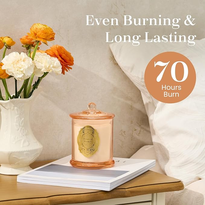 M&SENSE Tropical Basket Candles for Home Scented, 2 Wick 12.7oz Soy Wax Candles Non Toxic,70 Hours Long Burning,Luxury Candles Gift for Stress Relief, Meditation, Yoga