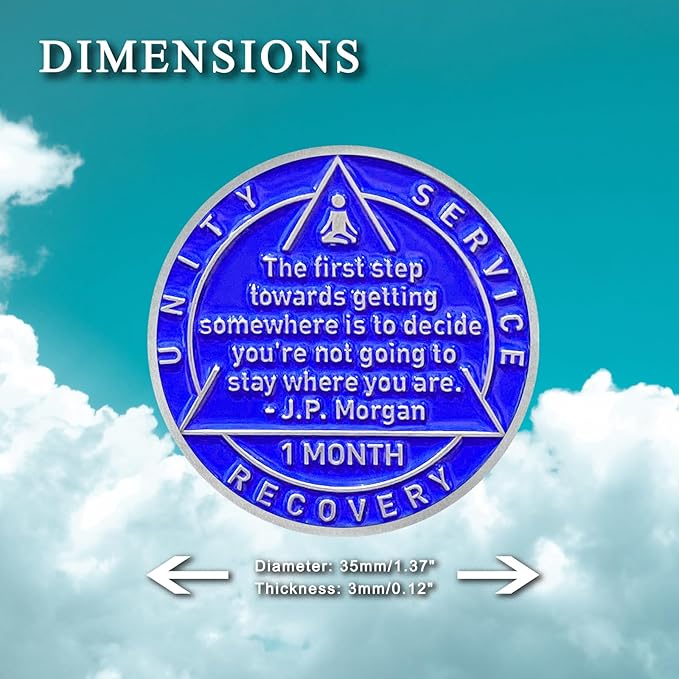 1 Month Sobriety Coin 30 Days Sobriety Chips AA Chip AA Coins 1 Month Sober chip Token Recovery Medallion Plastic case Included-Baking Paint Process