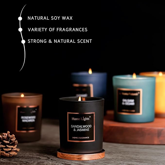 HomeLights Luxury Scented Candle, Natural Soy Wax, Home Fragrance Decor Gift, Sandalwood & Jasmine, Medium Jar