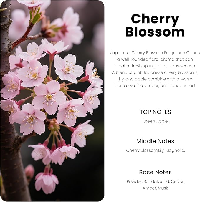 Car Air Freshener Hanging Diffuser – Long-Lasting Essential Oil Scent (Up to 60 Days) – Non-Toxic & Eco-Friendly – 2-Pack Auto Fresheners Made in USA