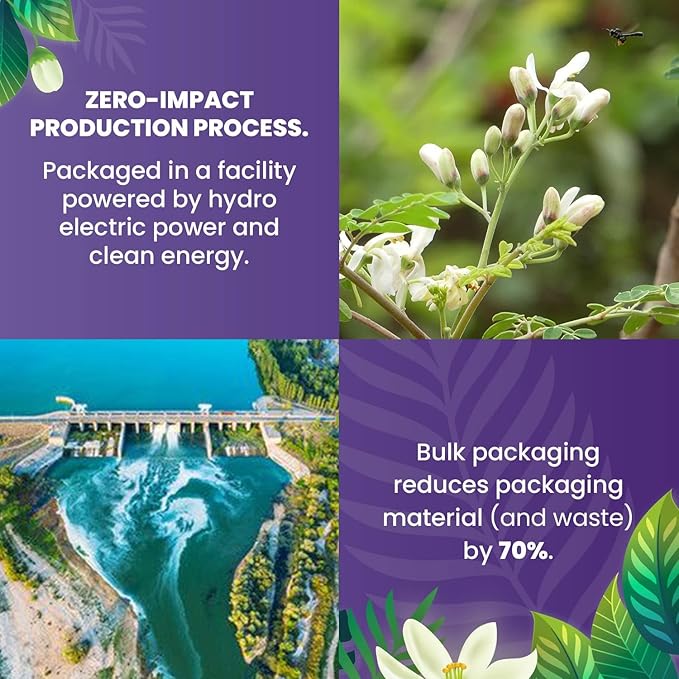 Cederberg Tea Company Organic Moringa Tea — 30 Tea Bags | Organic Herbal Tea From Single Origin | Eco-Friendly Tea Bags | Non-GMO Caffeine Free Tea With Zero Sugar