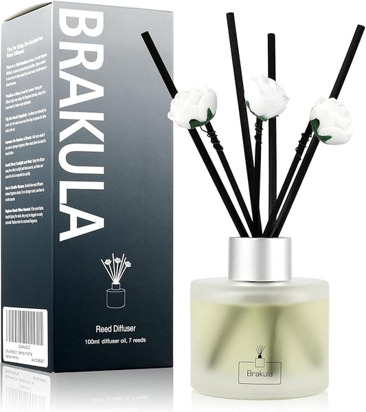 Brakula Reed Diffuser Set, Bamboo Scented, Reed diffusers for Home, Home Fragrance Diffuser with 7 Reed Sticks for Room/Bathroom Decor 3.38 fl oz (Bamboo)