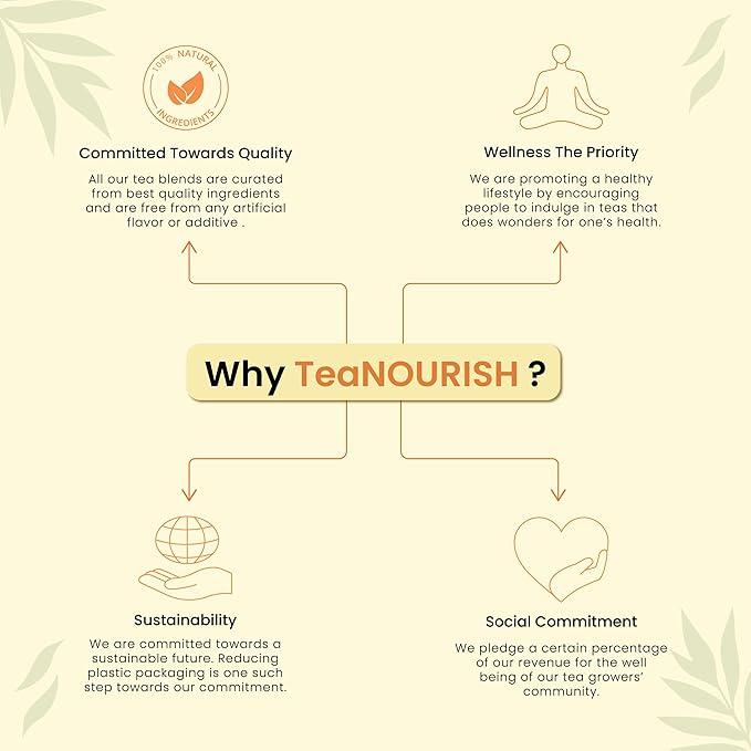 TeaNOURISH Desi Kadha | Immunity Booster Herbal Tea | Indian Superfoods Turmeric, Amla, Tulsi, Ginger & Rock Salt | Relaxing & Warming | 100% NATURAL - 3.53oz/100g (Pack of 2)