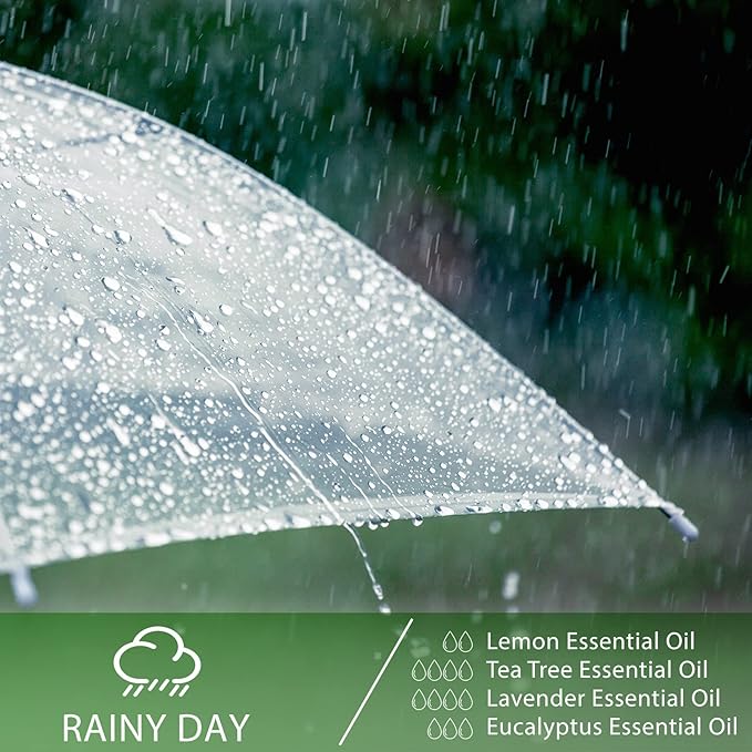 Tea Tree 3.38fl.oz Essential Oil, PHATOIL Pure Aromatherapy Oils for Diffuser, Humidifier, Perfect for DIY Soap, Candle, Bath Bombs Making(100ml)