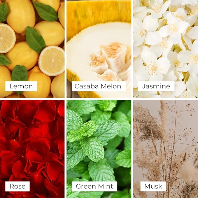 Air Esscentials Frosted Verbena Reed Diffuser Set - Decorative Fragrance Diffuser & Oil for Bathroom & Home | Long-Lasting Aroma | Natural Scent Sticks | Essential Oils & Botanicals| 100mL