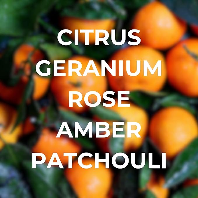 Bright Spot Car Air Freshener - Night at the Disco - Citrus, Amber, Patchouli Scent - Premium Car Hanging Air Freshener, Long-Lasting Fragrance for Auto and Home, 2 Bottles