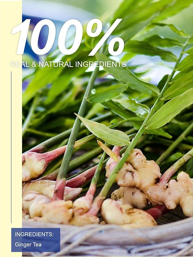 TeeLux Ginger Tea Bags, Natural Ginger Root Tea, Spicy & Zesty & Warm Flavor, Caffeine Free, 100 Count