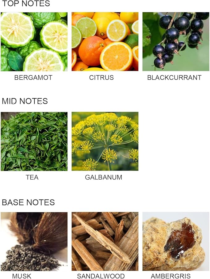 UCC Reed Diffuser Set, 3.38 oz Silver Mountain Spring Premium Scented Diffuser with Flower Sticks Home Fragrance Reed Diffuser for Bathroom Shelf Decor