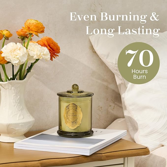 M&SENSE Sage Eucalyptus Candles for Home Scented, 2 Wick 12.7oz Soy Wax Candles Non Toxic,70 Hours Long Burning,Luxury Candles Gift for Stress Relief, Meditation, Yoga