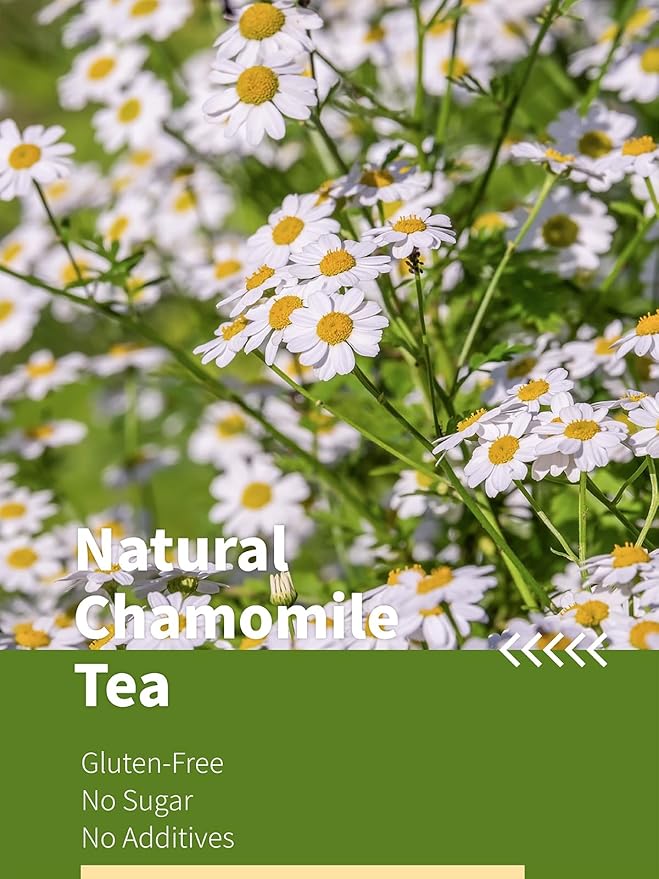 HYNTMYT Chamomile Tea Bags, 1g/bag, Natural & Pure Chamomile Flowers Herbal Tea, Caffeine Free, 120 Count