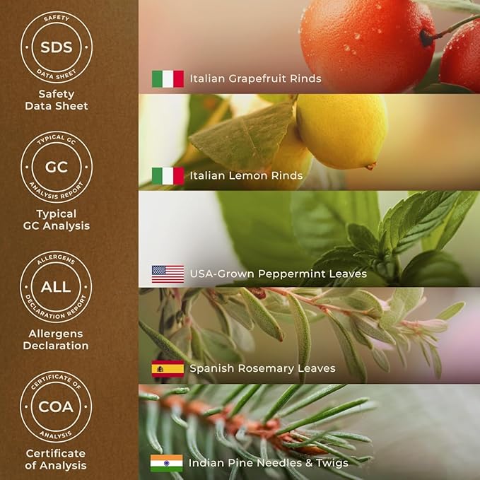 Gya Labs Active Energy Essential Oil Blend for Diffuser - 100% Pure Natural Energy Aromatherapy Oils - Rejuvenating & Refreshing (0.34 Fl Oz)