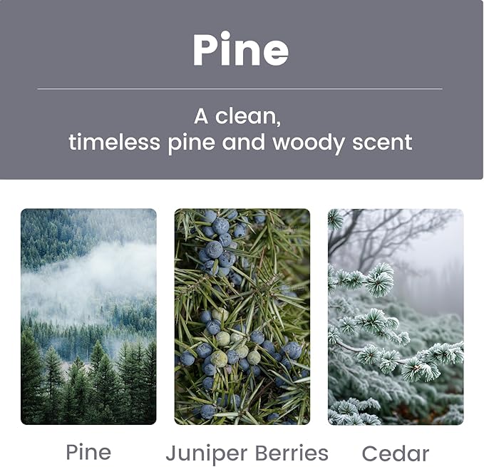 Car Air Freshener for Women & Men, Natural Non-Toxic Scent Stone Diffuser 2-in-1Car Fresheners Long Lasting fragrance - Pine