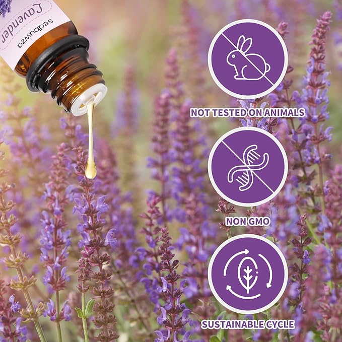 Sedbuwza Lavender Eucalyptus Essential Oil Set, Lavender Fragrance Oil Eucalyptus Scent Oil Set for Diffuser, Aromatherapy, Massage, Soap, Candle Making 2 x 10 ml