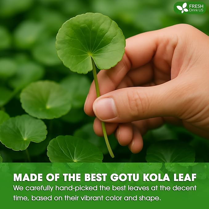 FreshDrinkUS, Premium Gotu Kola Leaf Tea β 40 Tea Bags | Pure Dried Centella Asiatica Leaves | Naturally Caffeine-Free Herbal Tea | Refreshing Aroma & Smooth Taste | Premium Herbal Infusion. Vegan