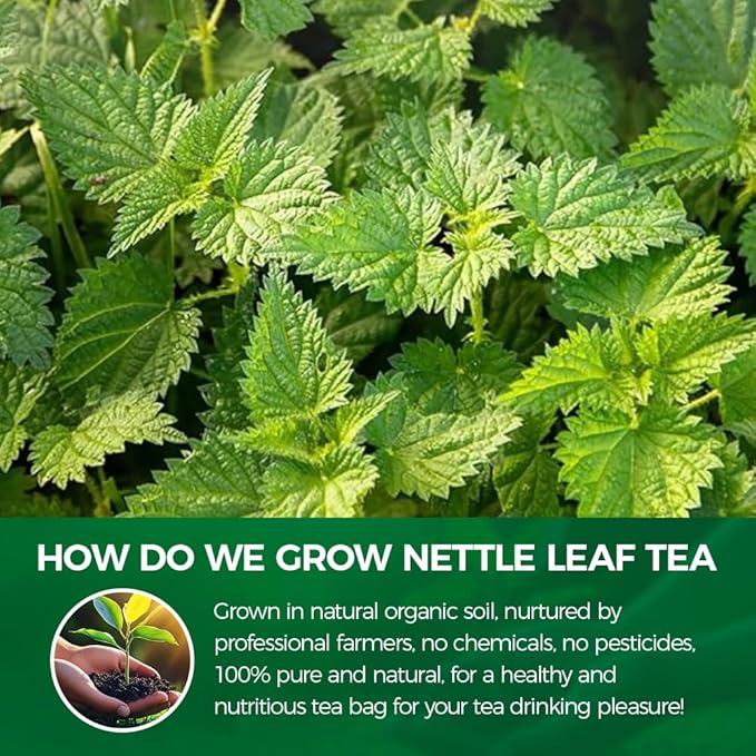 WOTIHA-Natural Nettle Leaf Tea 90g. 60 Herbal Tea Bags.Non-GMO • Additive-Free • Caffeine-Free
