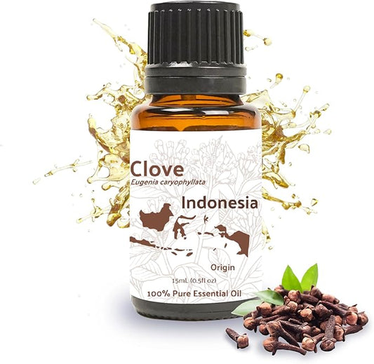 100% Pure Clove Essential Oils - Direct from Indonesian Essential Oils - Essential Oil for Diffusers Aromatherapy & Humidifiers (15ml) | Natural Cold-Pressed