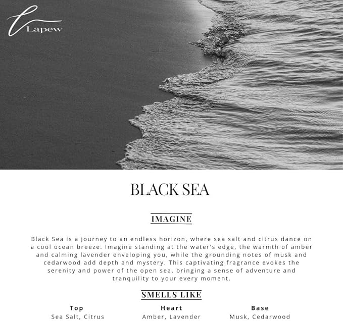 Car Air Freshener Diffuser – 2 Pack Hanging Air Freshener Diffuser (.34 Oz, Black Sea)