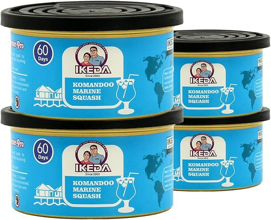 IKEDA Car Air Freshener & Car Odor Eliminator for Auto or Home,Office, 60 Days Long Lasting Scent Cans Freshener, 1.5 Oz Each, 4 Cans, Ocean Fruit Juice