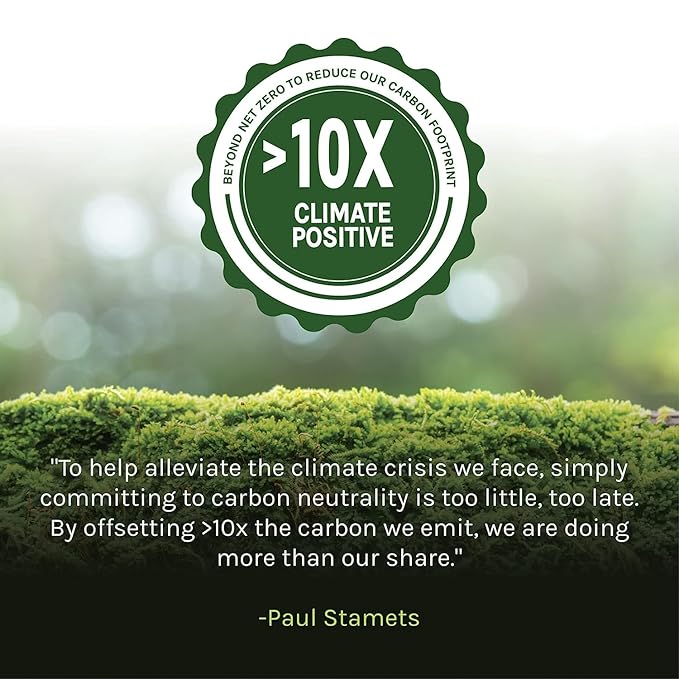 Host Defense MycoBrew Coffee - Instant Drink Mix - Includes Lion's Mushroom - Drink Mix with 100% Arabica Instant Coffee - Awaken and Activate, 10 Packets (10 Servings)