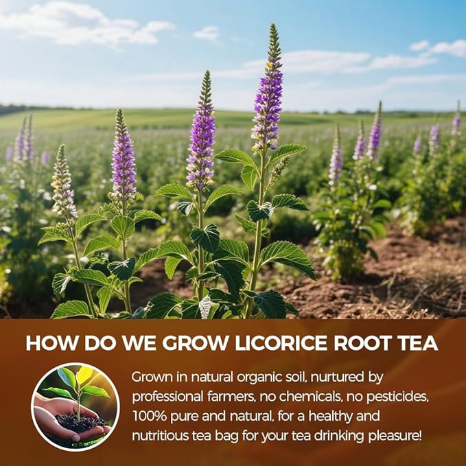 WOTIHA-Natural Licorice Root Tea 170g. 85 Herbal Tea Bags.Promote Respiratory Health,Non-GMO • Additive-Free • Caffeine-Free
