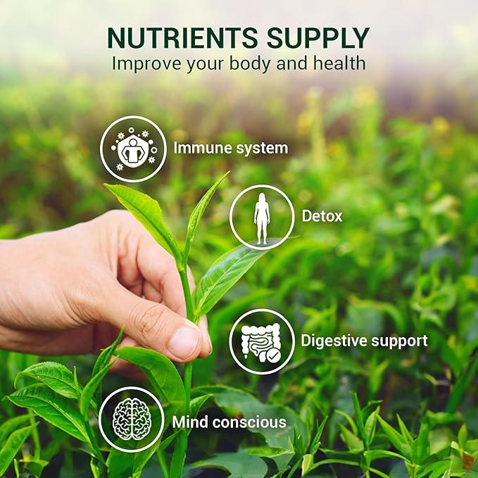 ANBA Green Tea Bags 25 Count | Easy to Brew | Naturally Fresh & Aromatic | Smooth & Refreshing Taste | Mild Natural Energy | Hight Caffeine | No Sugar Added | ISO HACCP Certified