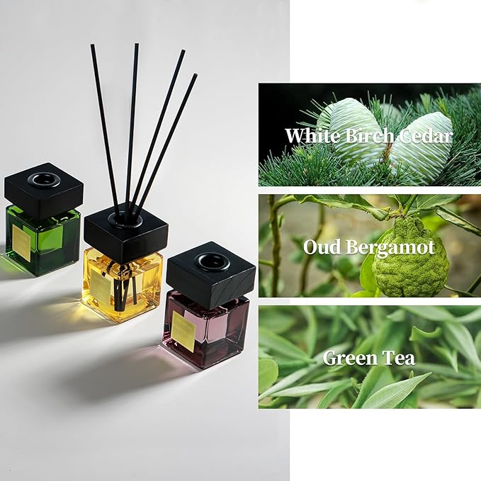 Reed Diffuser Set of 3, White Birch Cedar & Oud Bergamot & Green Tea Tree Essential Oil, 15 Diffuser Sticks, Hotel Collection Bathroom Air Fresheners, 50ml Home Fragrance for Room Decor