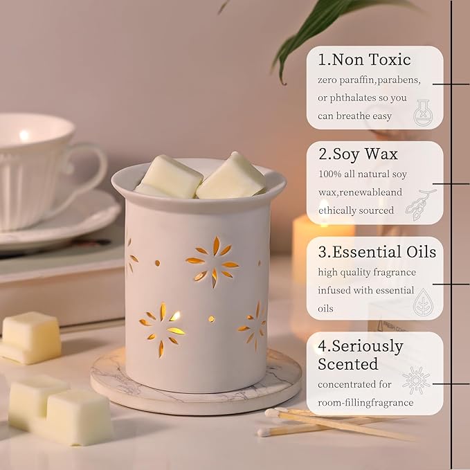 LETINE Wax Melts 2.5oz(1 Pack), Vanilla Scented Wax Melts, 100% Soy Wax Melts Wax Cubes with All- Natural Strong & Non Toxic Essential Oil for Warmer, Gifts Set for Home Fragrance/Spa/Seasonal Scents