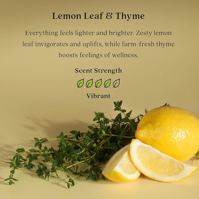 Enviroscent Non-Toxic Car Air Freshener (Lemon Leaf & Thyme) Infused with Essential Oils | Auto Scent Lasting Over 30 Days | 3 Car Vent Clip Scent Pod Refills