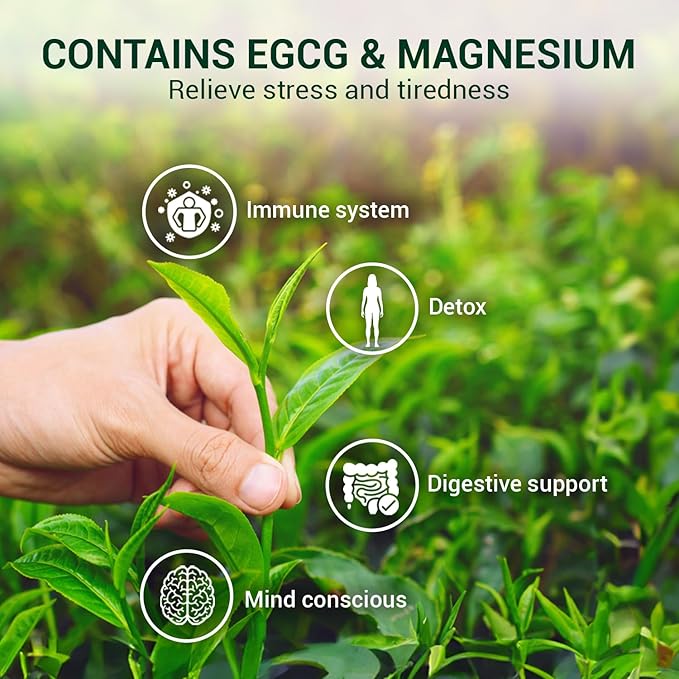 ANBA Jasmine Green Tea Bags 25 Count | Handcrafted Jasmine Infusion | Aromatic & Relaxing | Naturally Fragrant & Smooth | No Sugar Added | ISO HACCP Certified