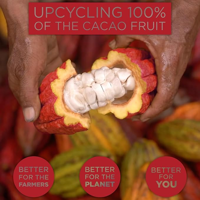 Blue Stripes Whole Cacao Granola - Gluten Free 70% Dark Chocolate Granola for Cereal, Oatmeal, Yogurt, 5g Protein Per Serving, Source of Fiber, Vegan, Low Sugar - Dark Chocolate, 8 oz Bag (6 Pack)