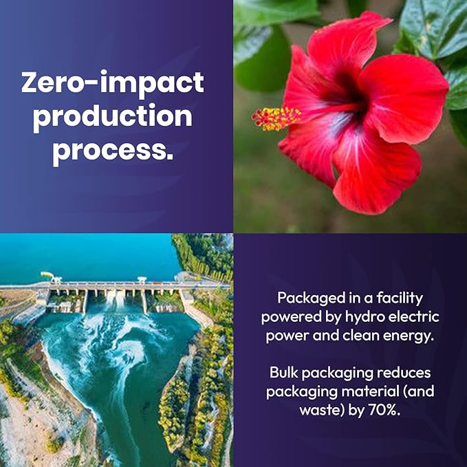 Cederberg Tea Company Organic Hibiscus Tea — 30 Tea Bags | Organic Herbal Tea From Single Origin | Eco-Friendly Tea Bags | Non-GMO Caffeine Free Tea With Zero Sugar