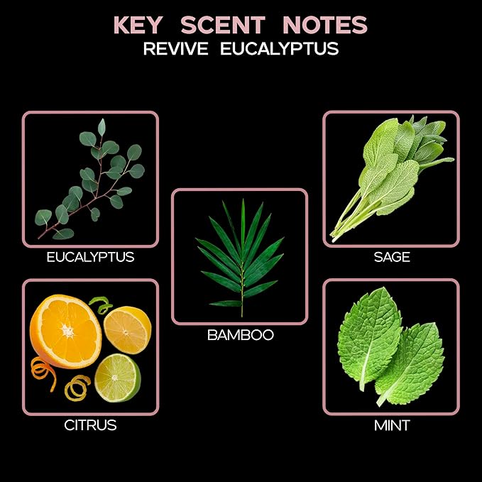 LOVSPA Revive Eucalyptus Diffuser Oil - Luxury Essential Oils for Diffuser Refill & Air Freshener Room Spray - Long-Lasting & Natural Home Fragrance, Scented Oil for Diffusers, USA Made, 4oz