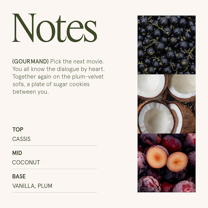 LA JOLIE MUSE Vanilla Plum Sky Candle - Coconut, Vanilla, Plum | 12 oz Large 2-Wick Soy Wax Candle | 60 Hours Clean Burn | Gift-Ready for Hosts & Gatherings | Elegant Home Decor