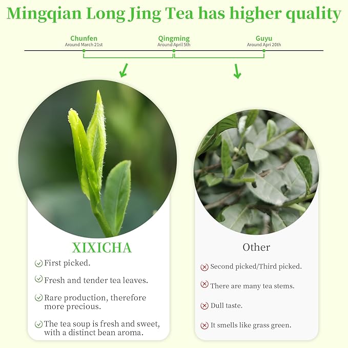 XIXICHA Longjing Tea New Tea Grade AAA Dragon Well Green Tea Loose Leaf Hangzhou Dragonwell Chinese Green Tea Fresh Bean Aroma 龙井茶 绿茶 明前龙井 茶叶 4.23oz/120g