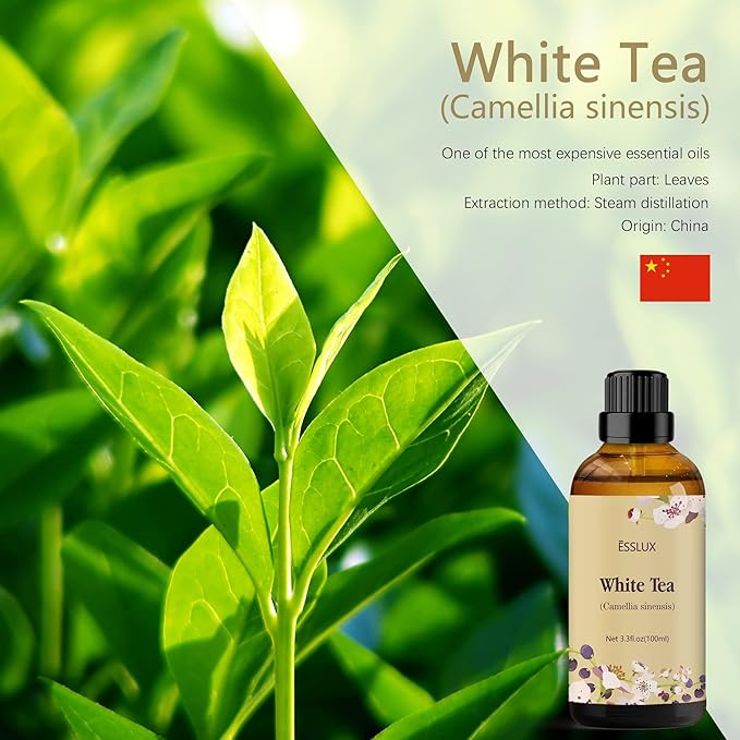 White Tea Essential Oil 100ml (3.3 Fl Oz), ESSLUX Aromatherapy Essential Oils for Diffuser, Massage, Soap, Candle Making, Home Fragrance