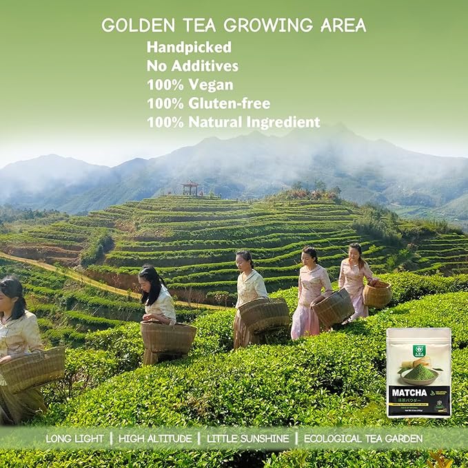 TIAN HU SHAN Matcha Green Tea Powder 3.5oz/100g, Pure Matcha Powder Culinary Grade Unsweetened for Lattes, Cooking, Baking, Vegan 100% Natural (Package May Vary)