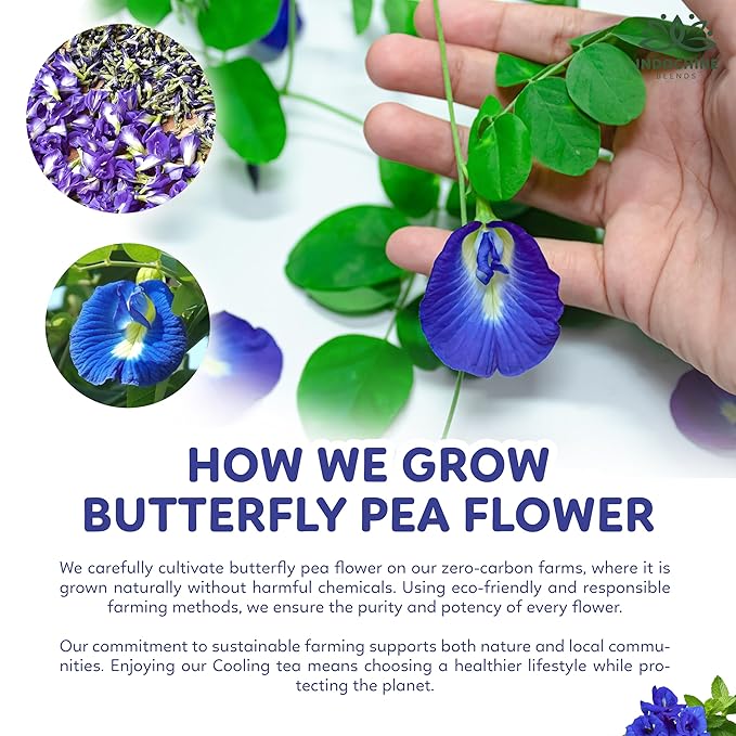 Indochine Blends Cooling Tea | Oolong, Artichoke, Butterfly Pea & Peppermint | Sugar-Free, Caffeine-Free Herbal Tea | Vibrant Blue | Herbal Tea for Relaxation | 4.4 oz | 50 Corn-Fiber Pyramid Bags