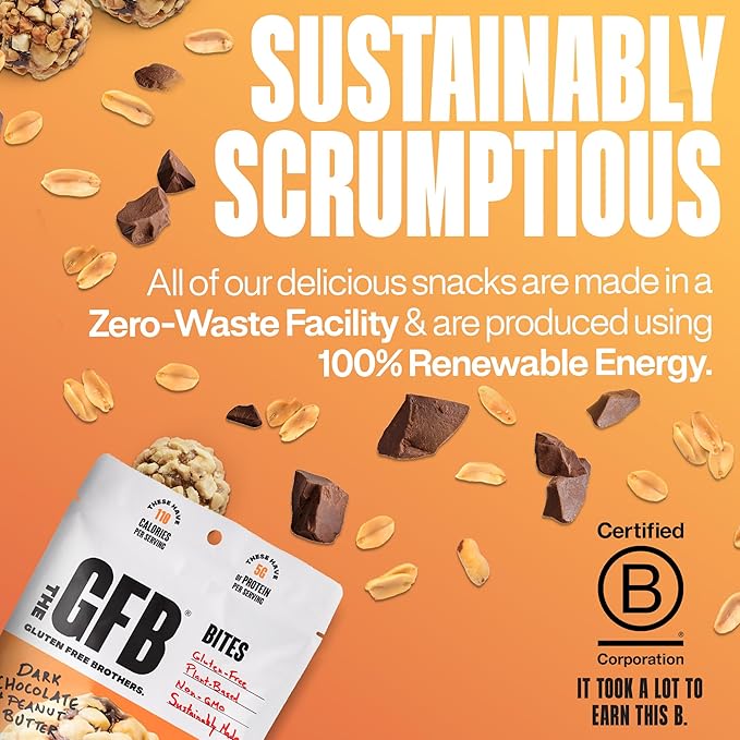 The GFB Dark Chocolate Peanut Butter Protein Bites - Gluten Free Protein Balls - Non GMO, Soy Free, Vegan - Snack Size Plant Based Energy Balls, 4 oz (1 Count)