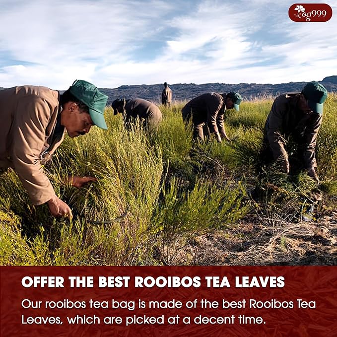 TOG999, 135 Premium Red Rooibos Tea Bags, 100% Natural & Pure from Rooibos Tea Leaves. Loose Leaf Rooibos Herbal Tea. Made with Natural Material Tea Bags. No Sugar, No Caffeine, No Gluten, Vegan.