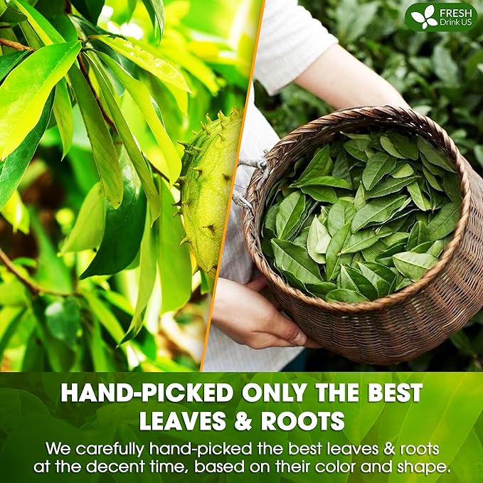 FreshDrinkUS, Premium 40 Tea Bags Soursop Green Tea, 100% Natural & Proprietary Blend from Soursop Leaves and Green Tea. Smooth Flavor. Made with Eco-Conscious Tea Bags. No Additives No Sugar, Vegan.
