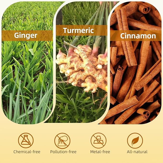120 Bags Premium Turmeric Ginger Cinnamon Tea Bags, Premium Natural Ingredients, Turmeric Ginger Herbal Blend with Cinnamon, No Sugar, Caffeine-Free