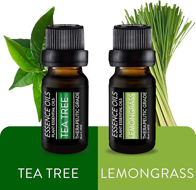 Pure Daily Care Aromatherapy Top 10 Essential Oil Set – Therapeutic Grade Single Ingredient Oils – Uplift Mind, Body and Spirit – 10 x 10 Ml Bottles – No Fillers & No Additives