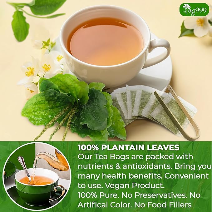 TOG999, Premium Tea Bags, 100% Natural & Pure, Loose Leaf Herbal Tea. No Sugar, No Gluten, Vegan. (60 Bags, Plantain Tea)